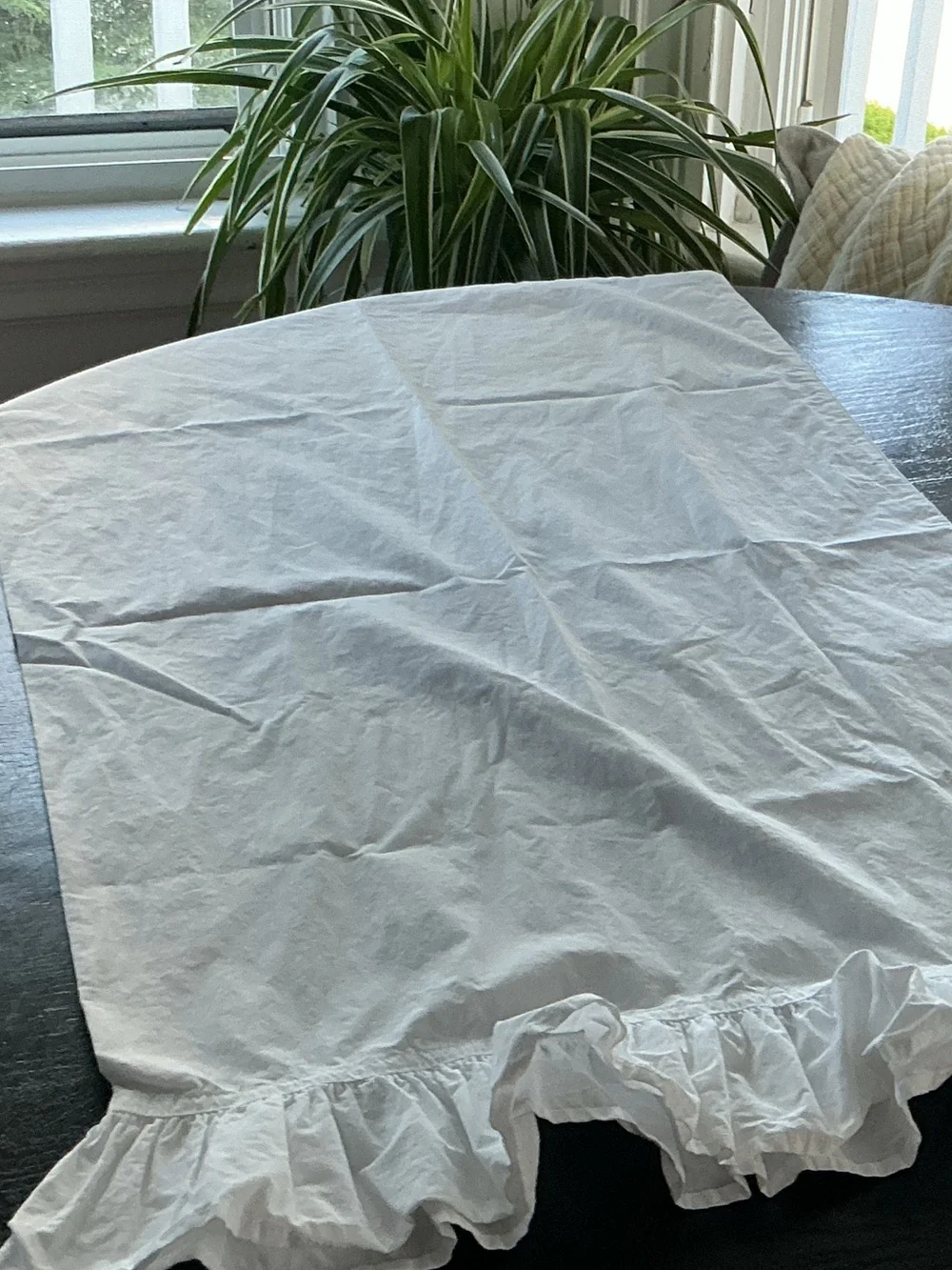 EUC Simply Shabby Chic Crisp White Sham